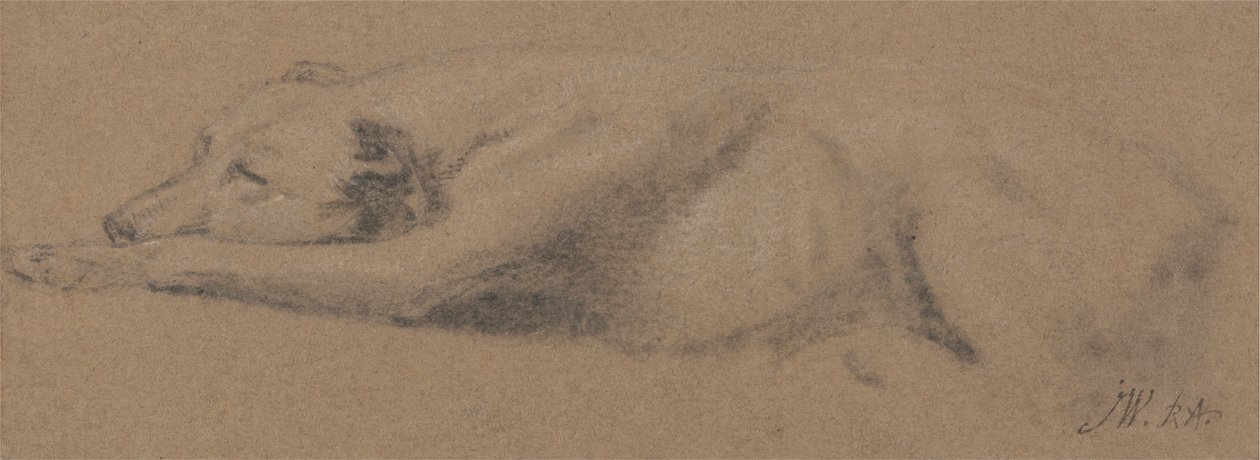 دراسة كلب نائم بواسطة جيمس وارد