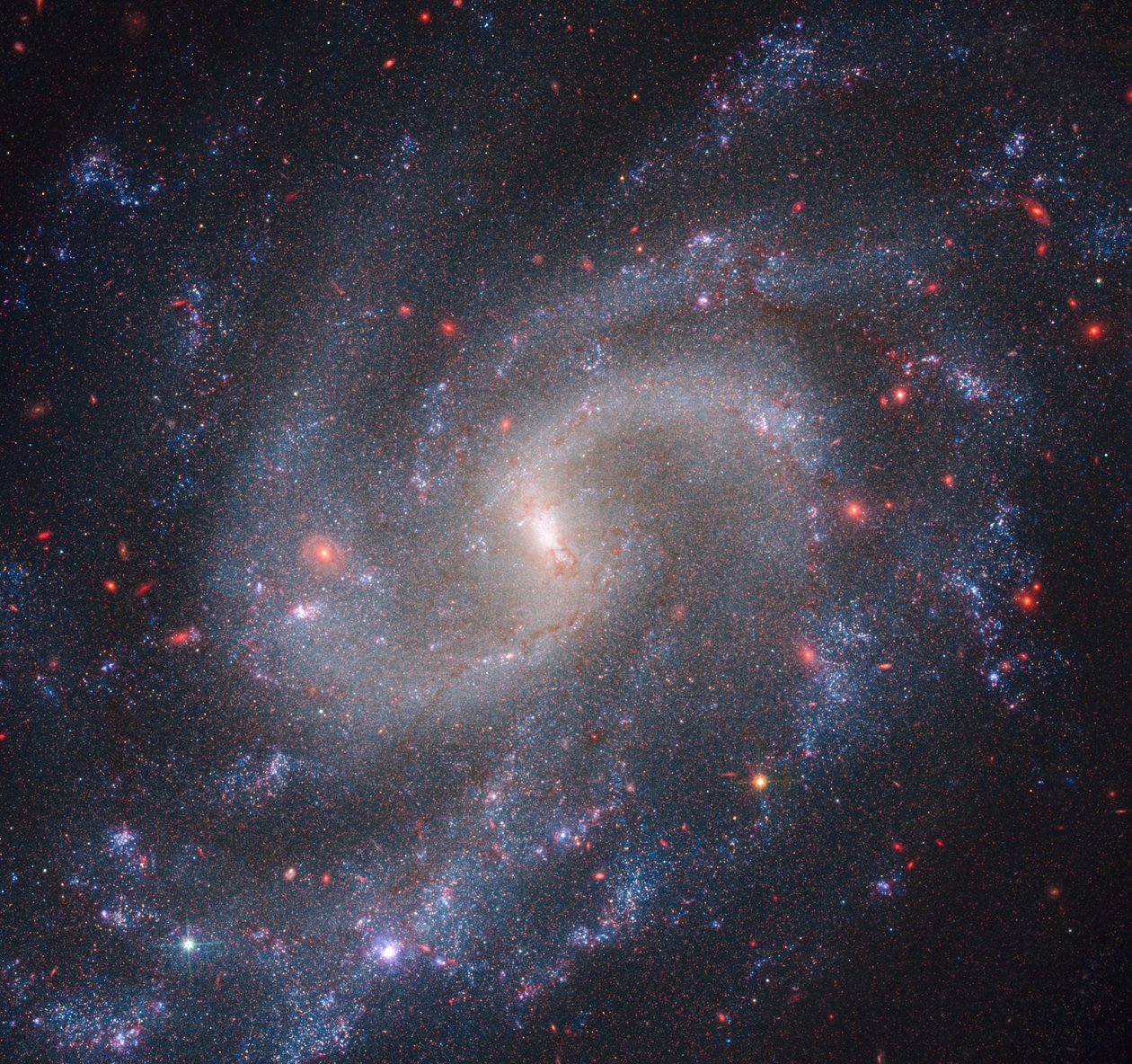 NGC 5584 (ويب NIRCam + هابل WFC3) بواسطة تلسكوب جيمس ويب الفضائي (ناسا)