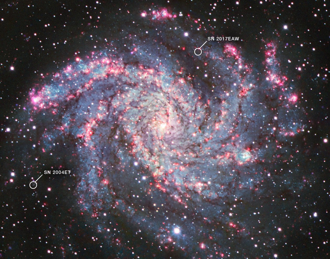 NGC 6946 (مرصد قمة كيت الوطني) بواسطة تلسكوب جيمس ويب الفضائي (ناسا)