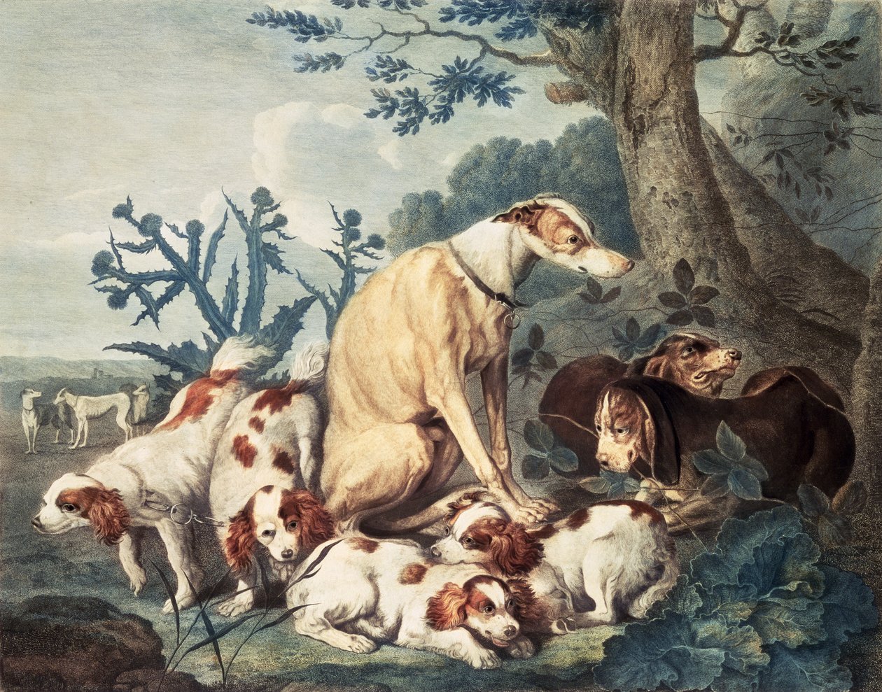 صور الكلاب ، نقشها دانيال ليربينير (c.1745-85) ، حانة. بواسطة John und Josiah Boydell ، 1799 (نقش الخطورة) بواسطة يان فيت
