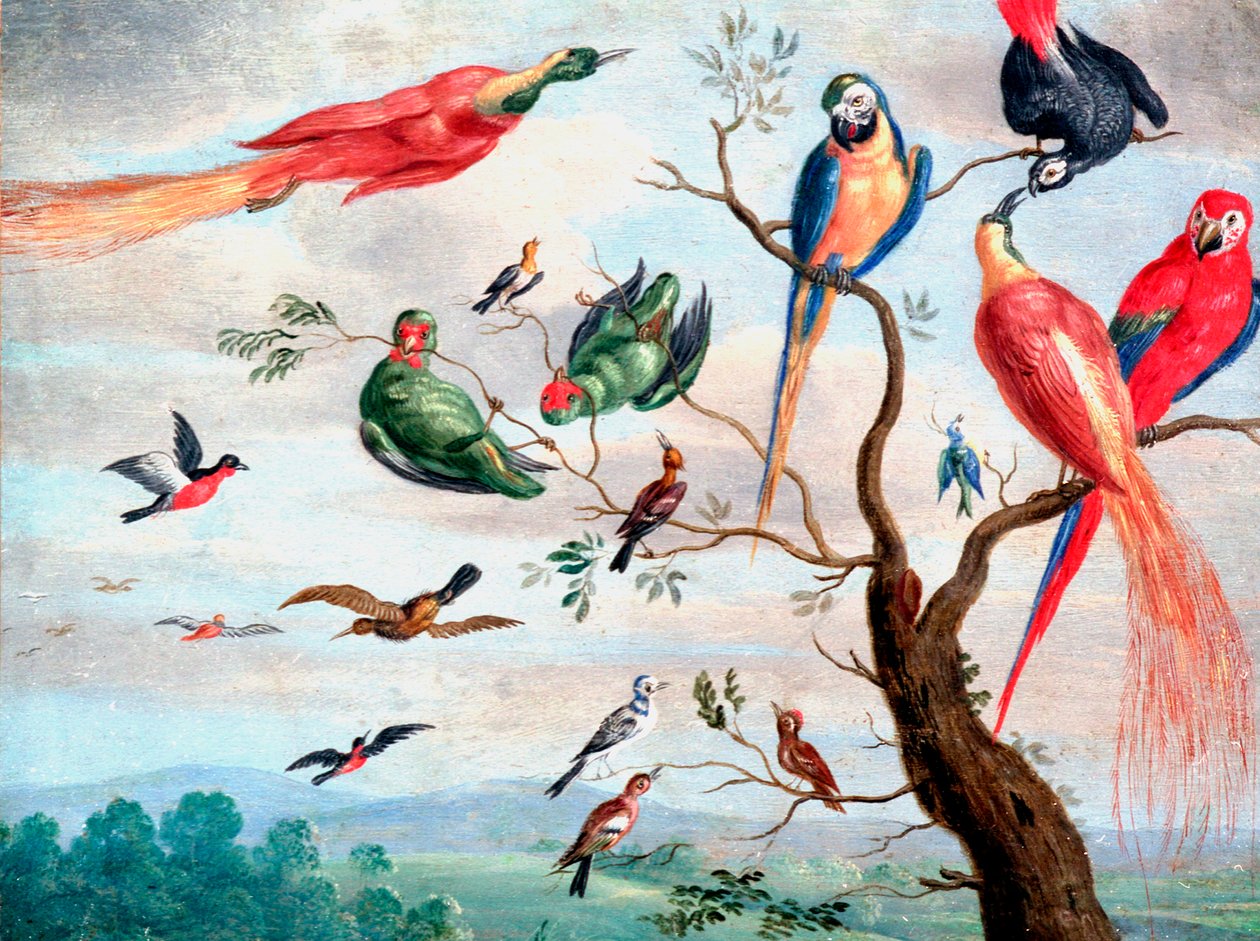 جوقة الطيور ، c.1650-1675 (زيت على معدن) بواسطة جان توماسز. فان المرجل