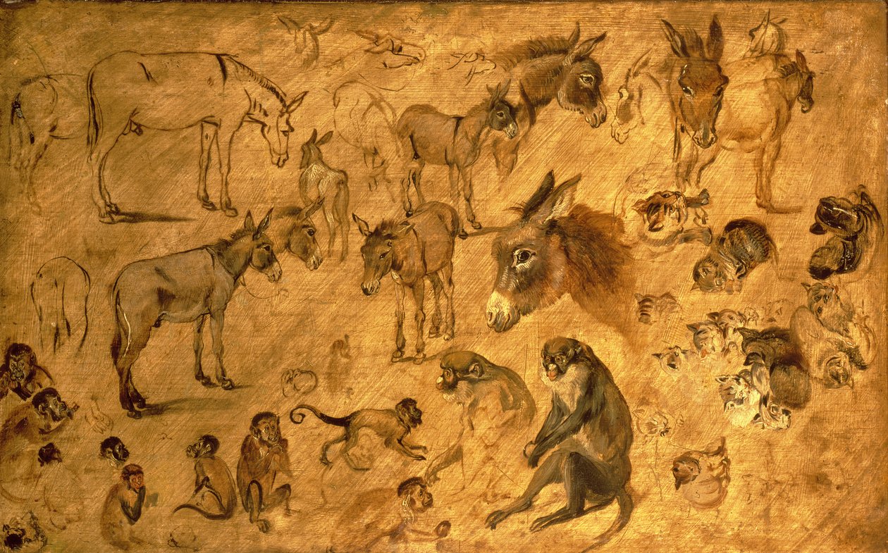 دراسة الحمير والقطط والقرود ، 1616 بواسطة جان الأكبر بروغل