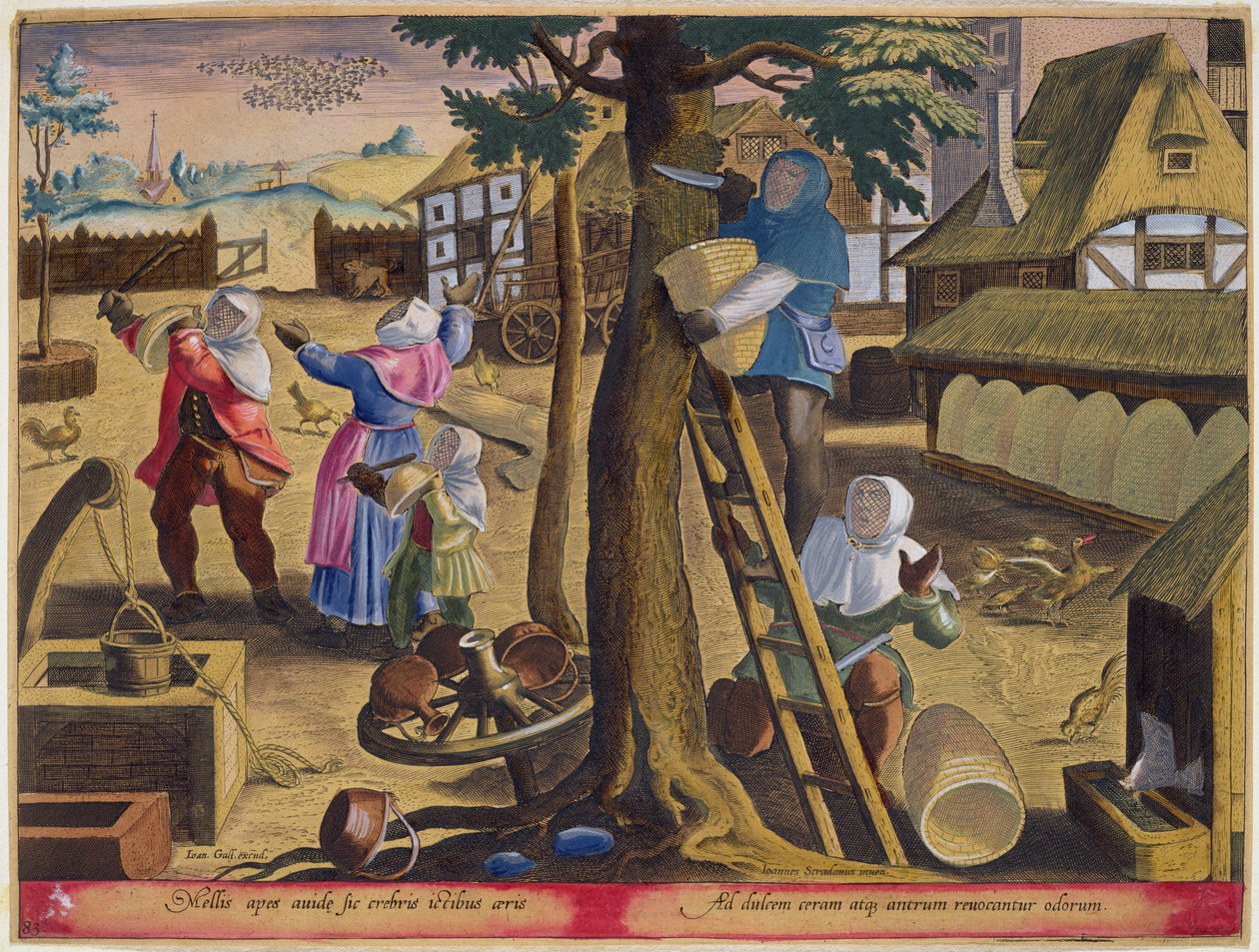 مربي النحل ، اللوحة 83 من "Venationes Ferarum ، Avium ، Piscium" (للصيد: وحوش برية ، طيور ، أسماك) محفورة بواسطة Jan Collaert (1566-1628) نشرها Phillipus Gallaeus of Amsterdam (يد ملونة e بواسطة جان فان دير سترايت