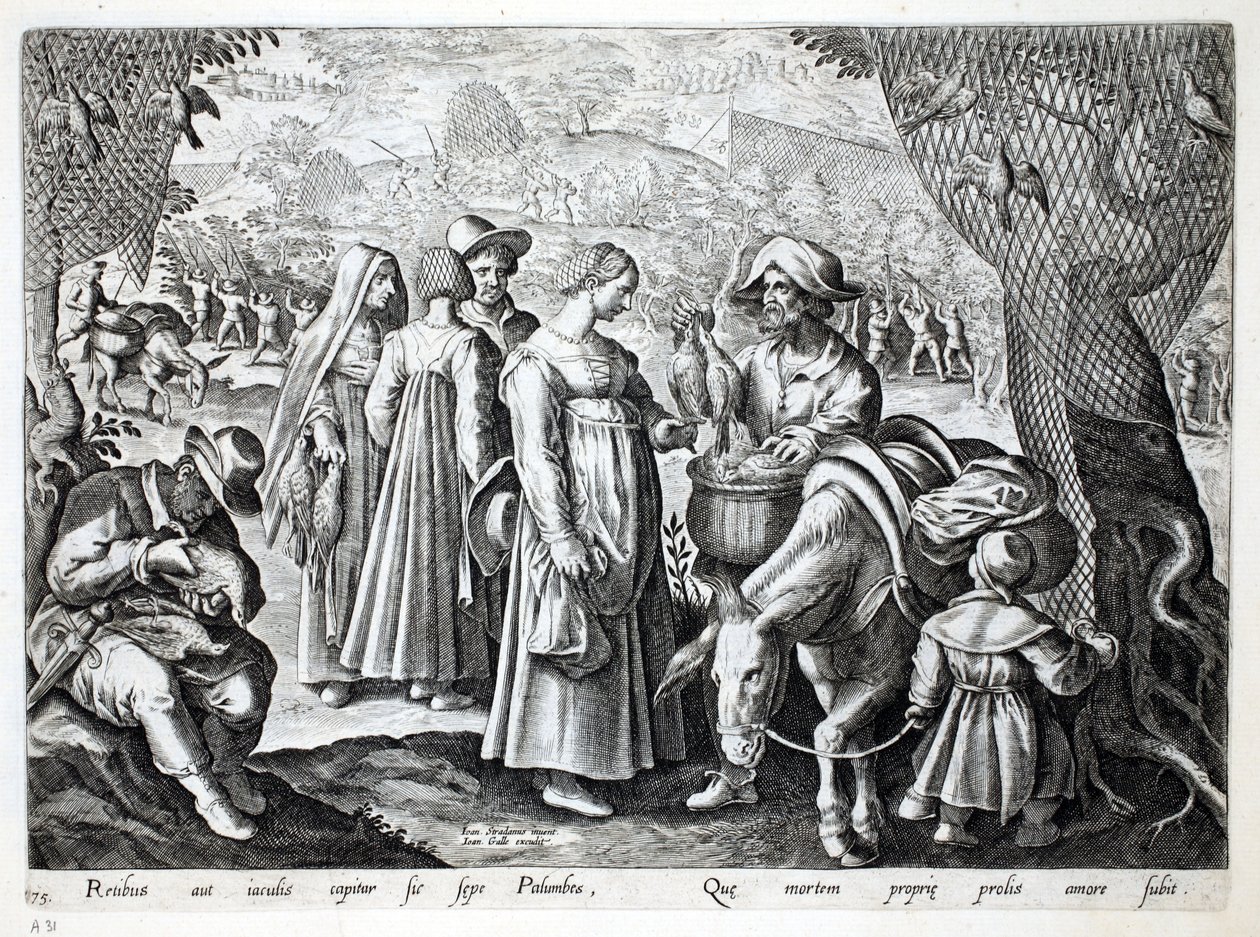 صيادو الطيور يبيعون حمامة الخشب ، رسم توضيحي من "Venationes ، Ferarum ، Avium ، Piscium" (للصيد: وحوش برية ، طيور ، أسماك) ، نقش بواسطة Jan Collaert (1566-1628) ، حانة. فيليب جاليوس ، أمست بواسطة جان فان دير سترايت