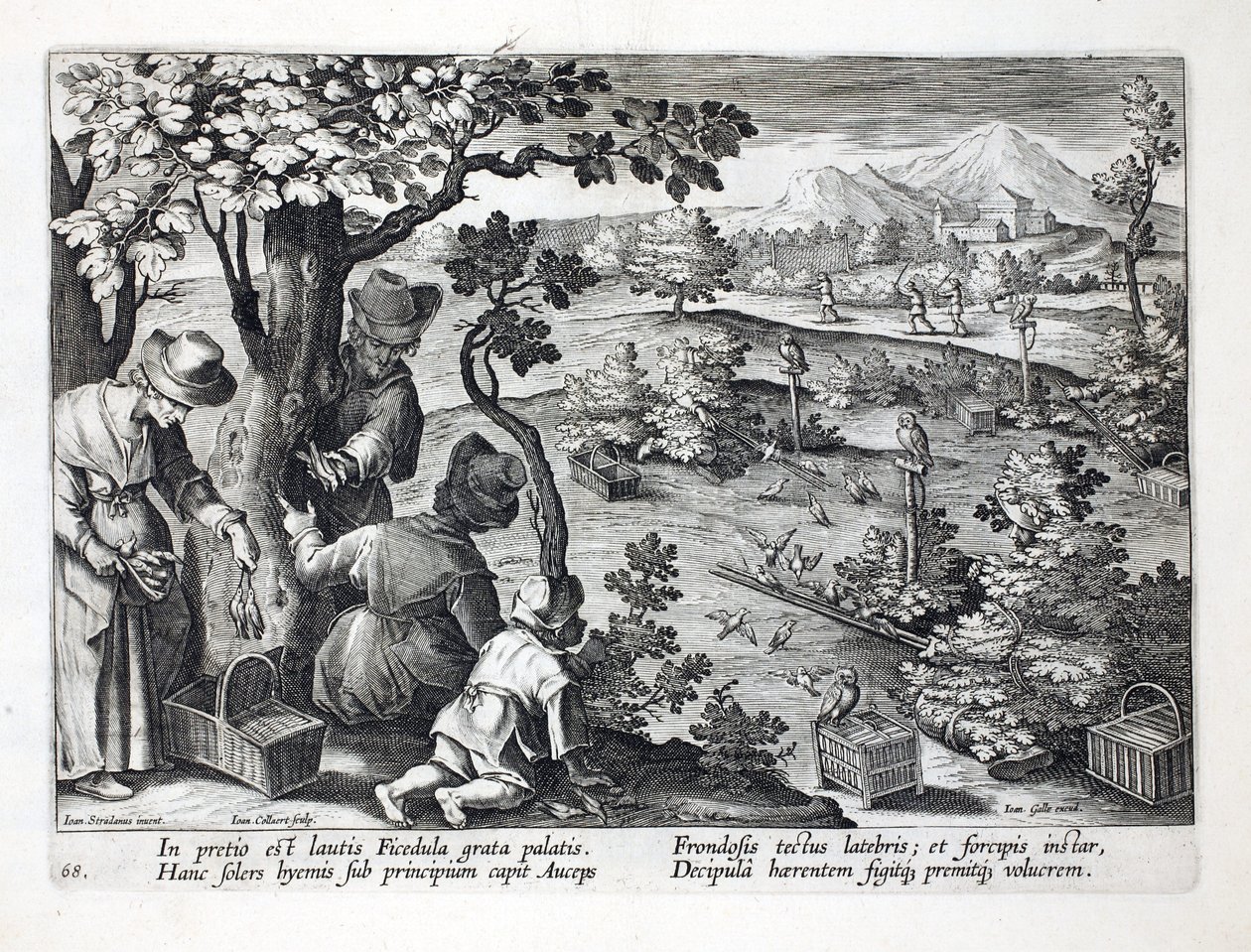 صيادو الطيور يستخدمون البوم ويتنكرون للقبض على Figpeckers ، التوضيح من &39;Venationes ، Ferarum ، Avium ، Piscium&39; (الصيد: وحوش برية ، طيور ، أسماك) ، نقش بواسطة Jan Collaert (1566-1628) ، حانة. بواسطة بواسطة جان فان دير سترايت