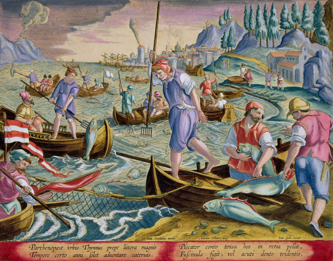الصيد بالشبكات والحوادث في خليج نابولي ، اللوحة 89 من "Venationes Ferarum ، Avium ، Piscium" (الصيد: وحوش برية ، طيور ، أسماك) محفورة بواسطة جان كولارت (1566-1628) نشرها فيليب بواسطة جان فان دير سترايت