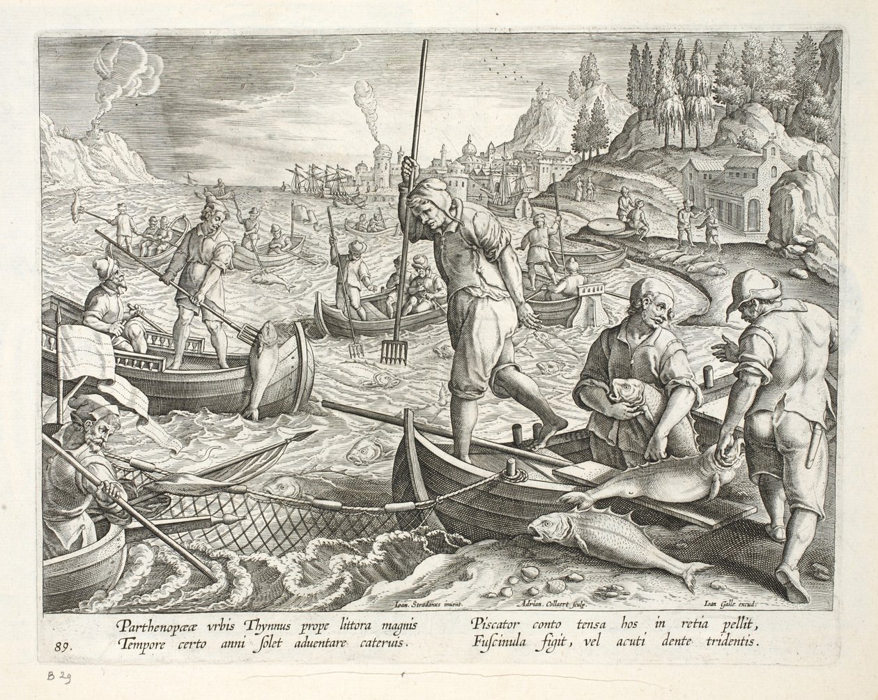 الصيد بالشبكات والحوادث في خليج نابولي ، اللوحة 89 ، رسم توضيحي من "Venationes ، Ferarum ، Avium ، Piscium" (للصيد: وحوش برية ، طيور ، أسماك) ، منقوش بواسطة Jan Collaert (1566-1628) ، حانة بواسطة جان فان دير سترايت