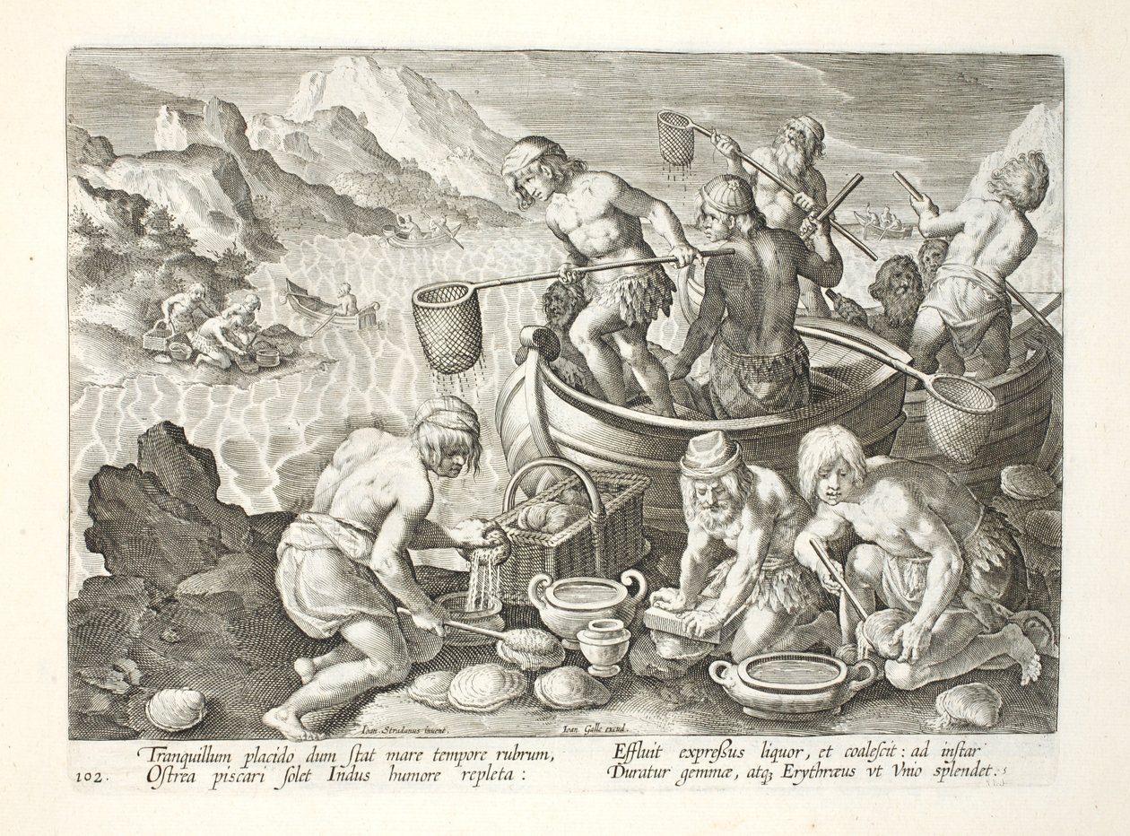 صيد السكان الأصليين للمحار العملاق على نهر السند ، اللوحة 102 ، رسم توضيحي من "Venationes ، Ferarum ، Avium ، Piscium" (للصيد: وحوش برية ، طيور ، أسماك) ، نقش بواسطة Jan Collaert (1566-1628) ، حانة. بواسطة P بواسطة جان فان دير سترايت