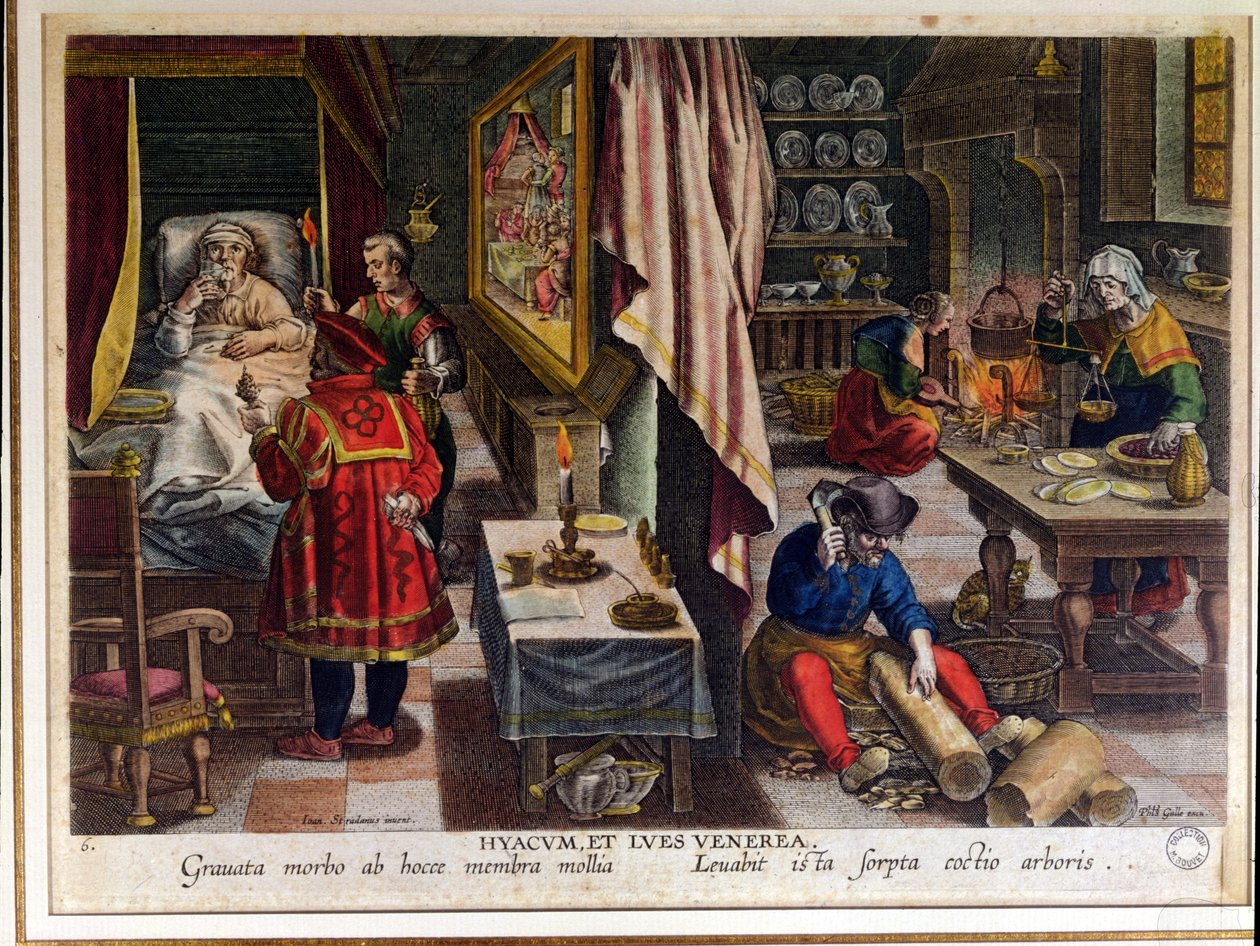 تحضير واستخدام Guayaco لعلاج مرض الزهري ، نقش بواسطة Philip Galle (1537-1612) c.1570 (انظر أيضًا 91596) بواسطة جان فان دير سترايت
