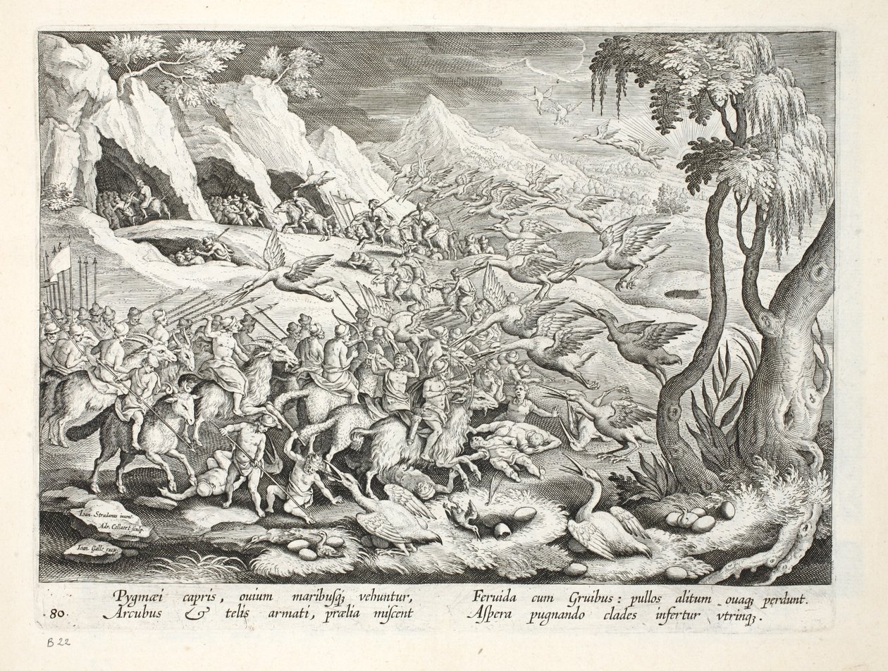 الأقزام على ماعز يصطادون كرين ، التوضيح من "Venationes ، Ferarum ، Avium ، Piscium" (للصيد: وحوش برية ، طيور ، أسماك) ، منقوش بواسطة Jan Collaert (1566-1628) ، حانة. بواسطة فيليبس غالايوس ، أمستر بواسطة جان فان دير سترايت