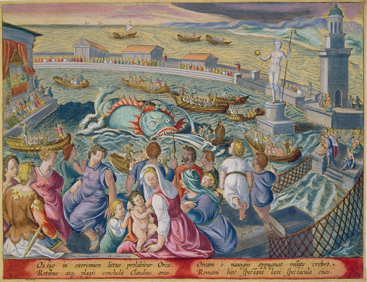 وحش البحر يهاجم قاربًا أثناء مشهد في حاوية بحرية في أوستيا ، اللوحة 85 من "Venationes Ferarum ، Avium ، Piscium" (للصيد: الوحوش البرية ، الطيور ، الأسماك) التي نقشها جان كولارت (1566) بواسطة جان فان دير سترايت