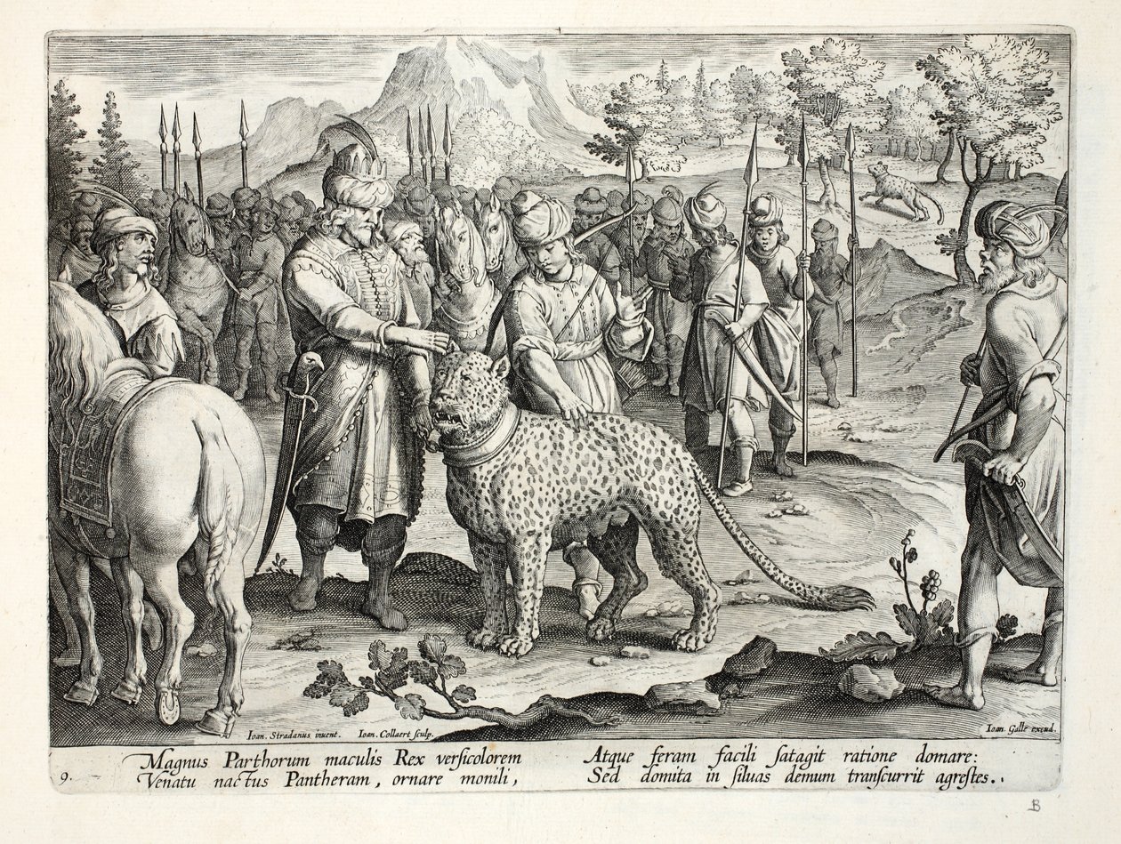 الملك العظيم للبارثيين يصطاد مع نمره المروض ، التوضيح من `` Venationes ، Ferarum ، Avium ، Piscium &39;&39; (للصيد: الوحوش البرية ، الطيور ، الأسماك) ، منقوش بواسطة Jan Collaert (1566-1628) ، حانة. بواسطة جان فان دير سترايت