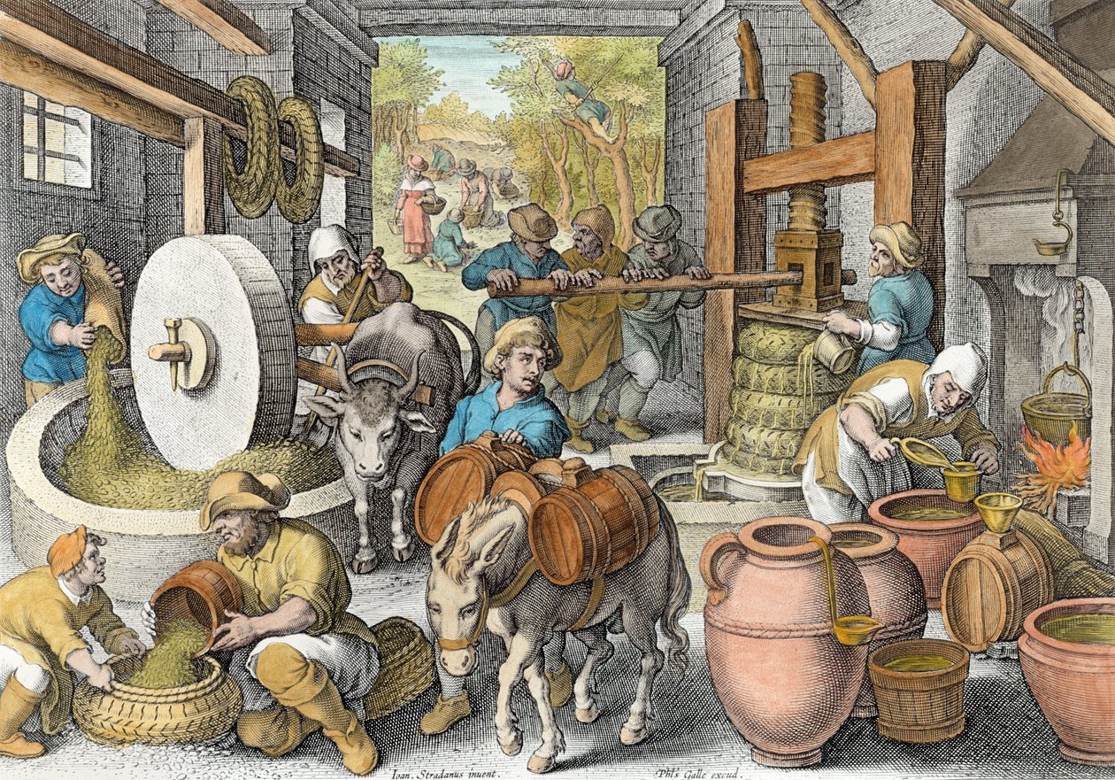 إنتاج زيت الزيتون ، اللوحة 13 من "الاكتشافات الجديدة" (Nova Reperta) المنقوشة بواسطة Philip Galle (1537-1612) c.1600 (تلوين لاحق) بواسطة جان فان دير سترايت