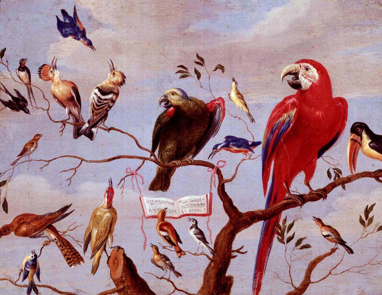 جوقة الطيور ، c.1650-1675 (زيت على معدن) بواسطة جان فان كيسيل الأكبر