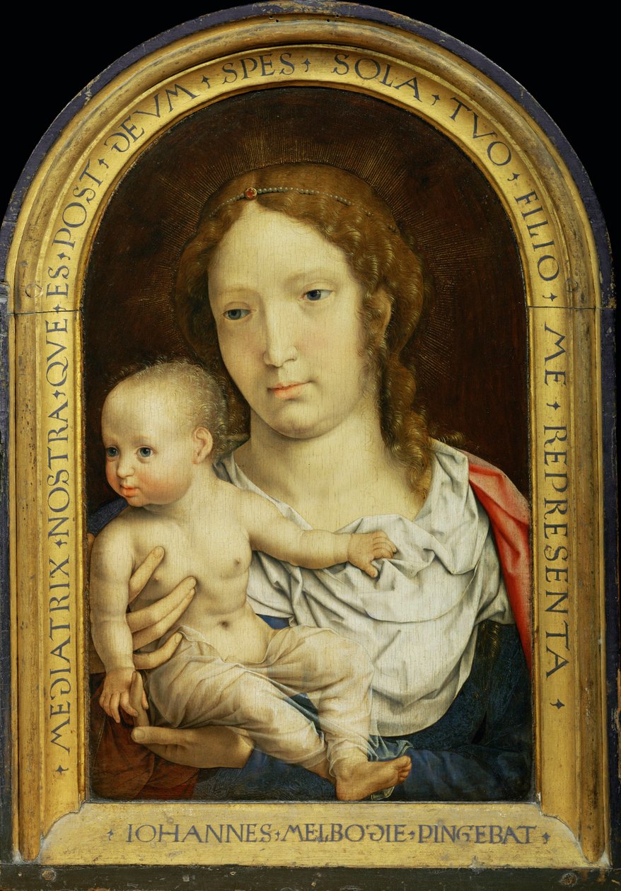 لوحة كارونديليت ديبتيش: العذراء والطفل المسيح ... بواسطة جان (c.1472-c.1533) جوسارت