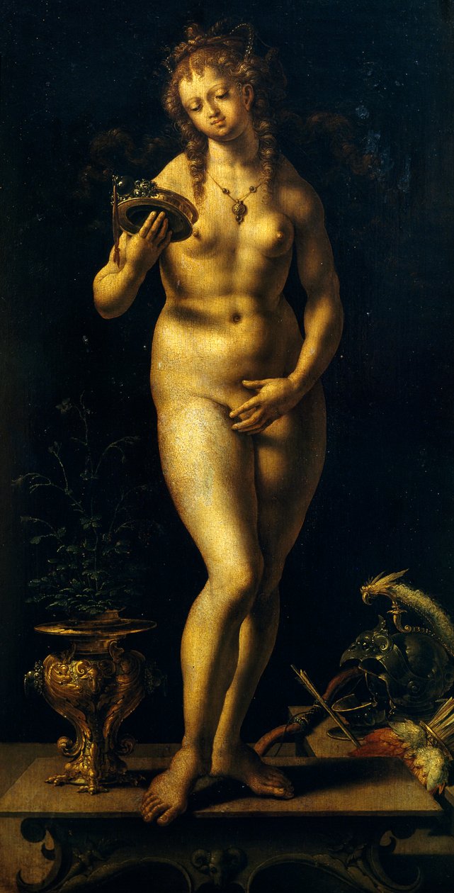 Venus (oil on panel) بواسطة يناير (1472 - 1533) جوسارت