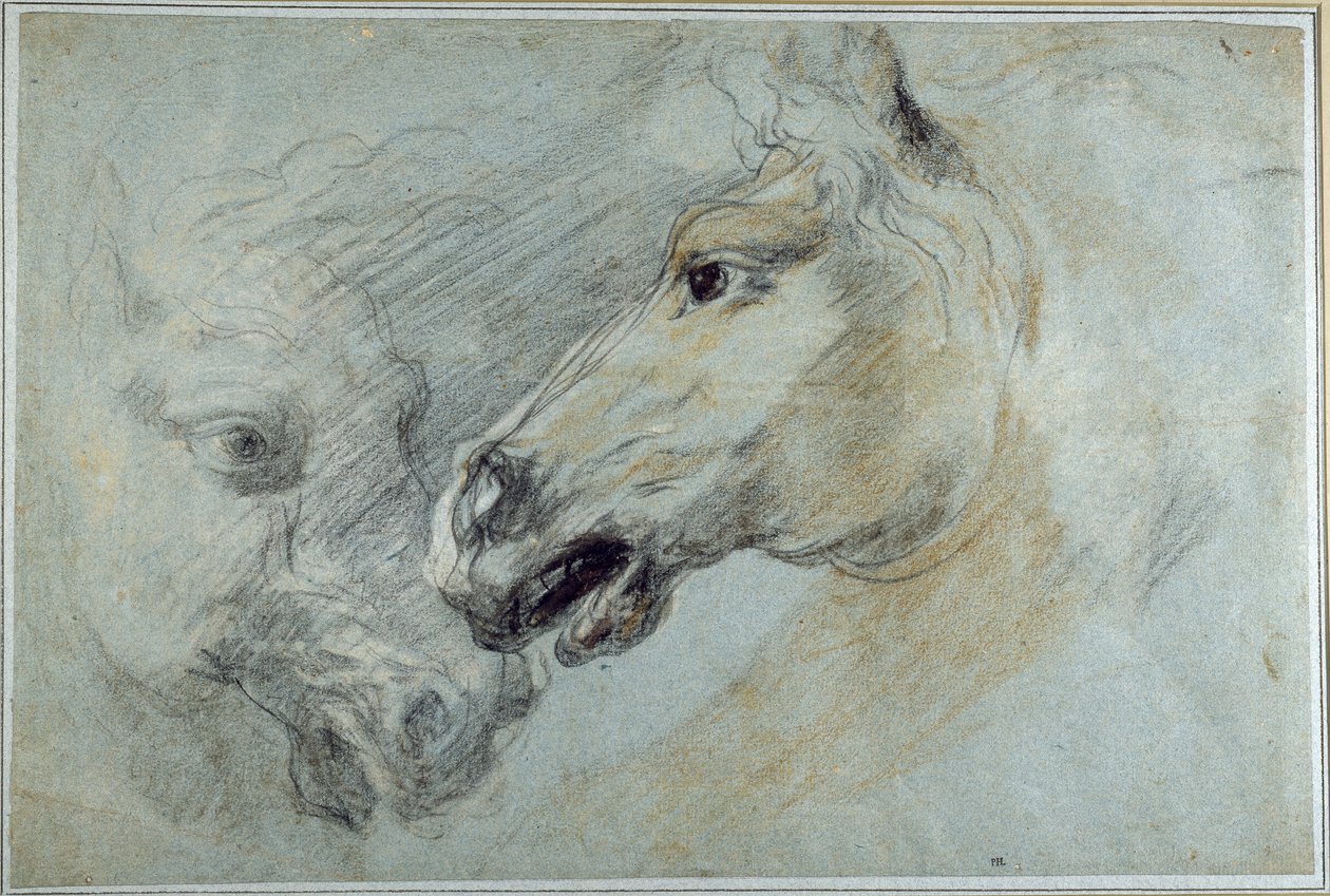 Two studies of a horse
