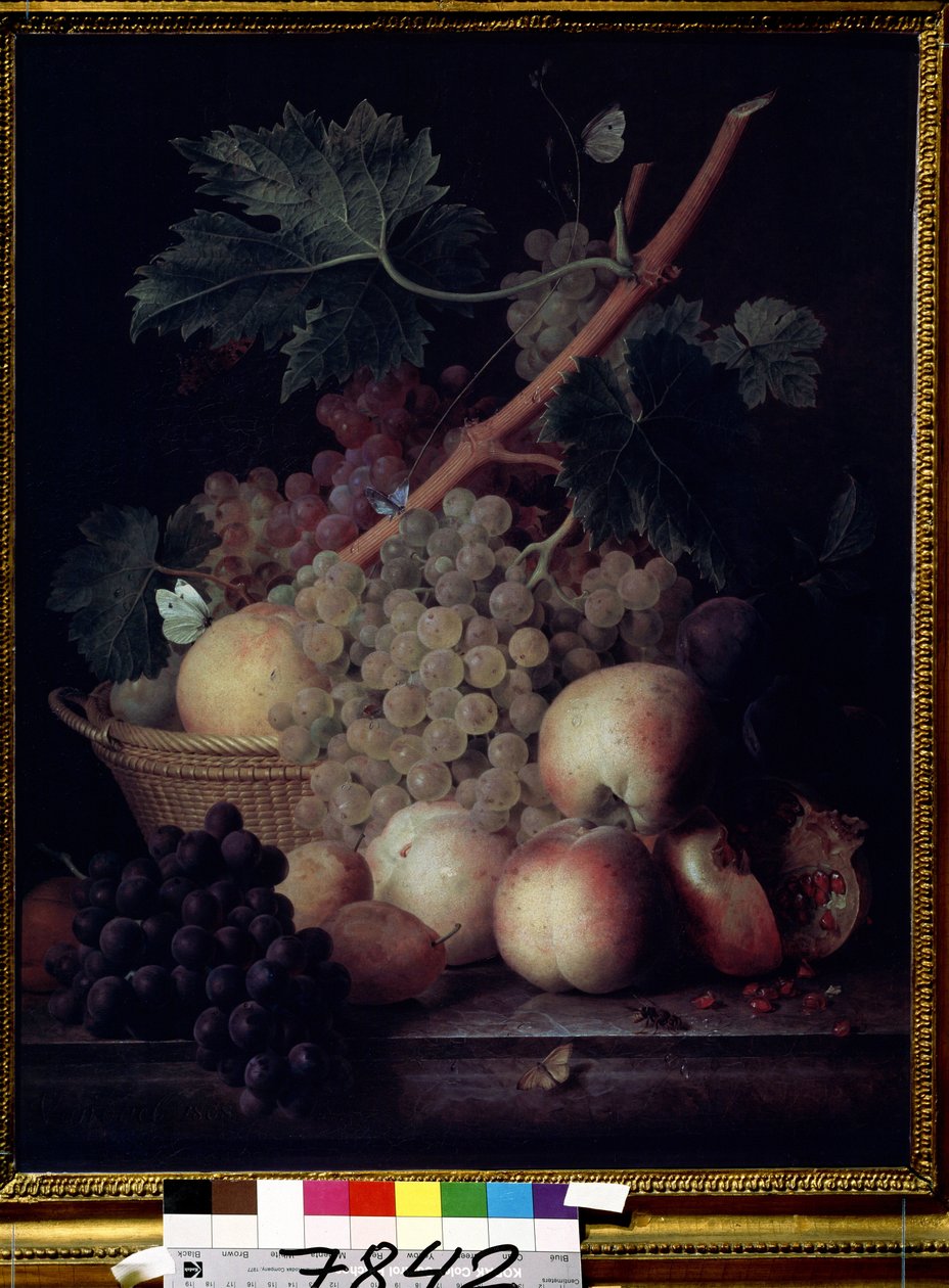 "فواكه" صامتة من الخوخ والعنب والكمثرى والرمان مع الفراشات والدبور. رسم جان فرانسوا فان دايل (1764-1840) 1808 متحف بوشكين ، موسكو بواسطة جان فرانس فان دايل