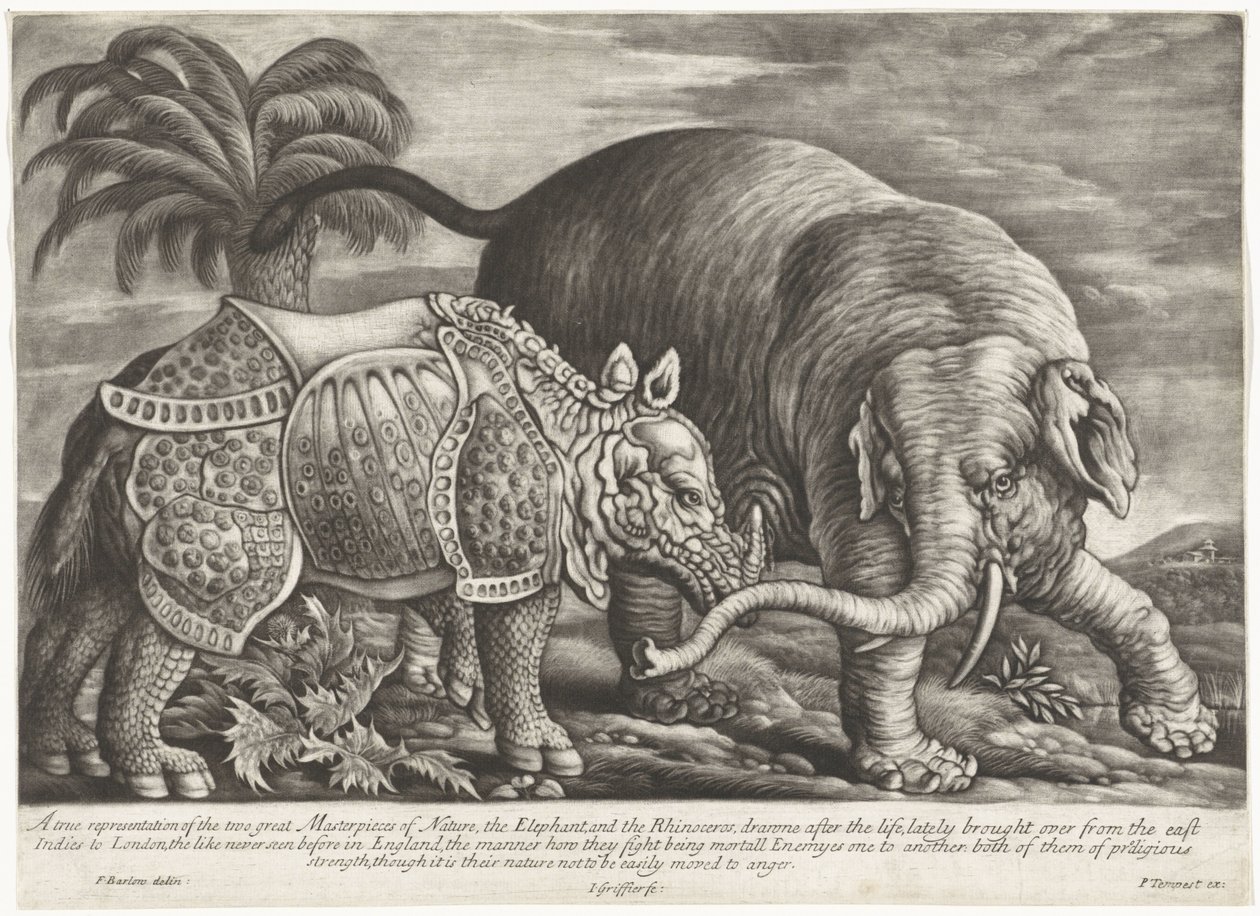 Olifant en neushoorn تمثيل حقيقي لرائعتين من روائع الطبيعة ، الفيل ووحيد القرن (العنوان على الكائن) بواسطة جان جريفير (أنا)