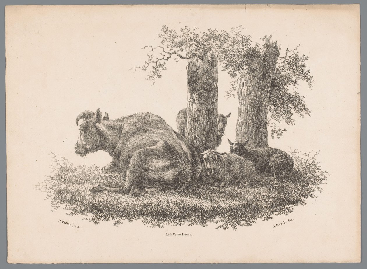 بقرة وثلاثة شاة Beesten Studien بواسطة J. Kobell بعد Paul Potter Nr. 1 (عنوان المسلسل) بواسطة جان كوبيل (الثالث)