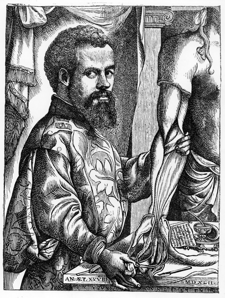 صورة لأندرياس فيساليوس (1514-64) من كتابه "De Humani Corporis Fabrica" ، 1543 ، توضيح من "العلوم والأدب في العصور الوسطى وعصر النهضة" ، كتبه ونقشه بول بواسطة جان ستيفين فان كالكار