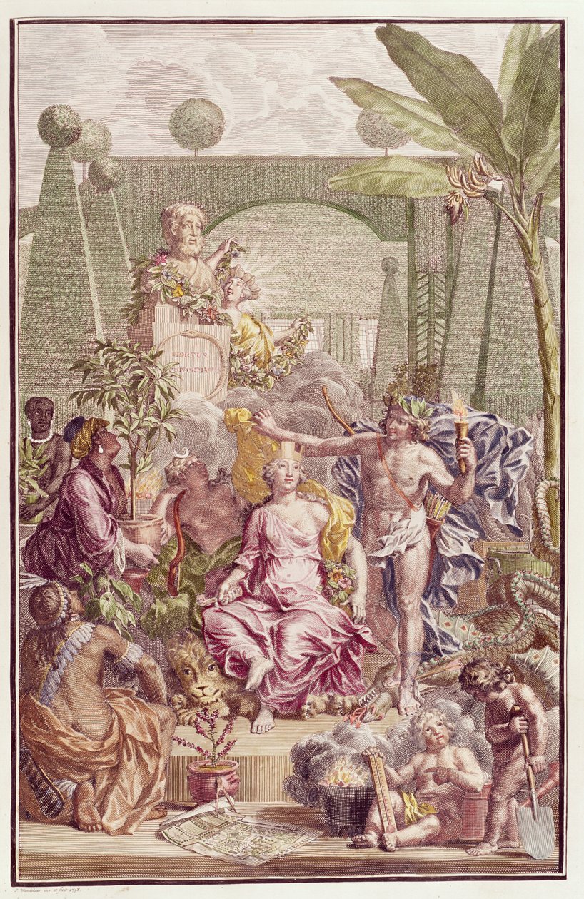 صورة "Hortus Cliffortianus" لكارل لينيوس (1707-78) بواسطة جان وانديلار