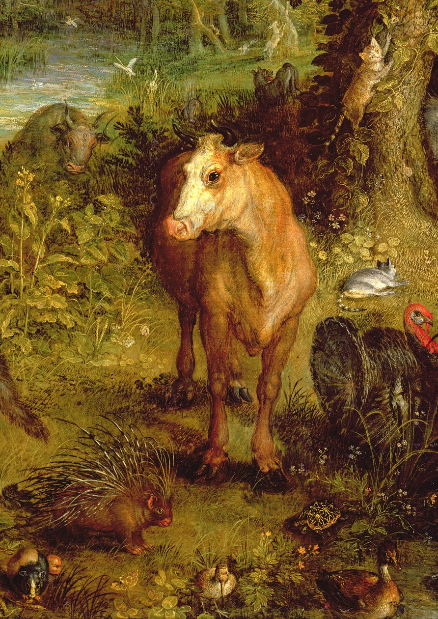 الأرض أو الجنة الأرضية ، تفاصيل بقرة ، النيص وحيوانات أخرى ، 1607-08 زيت على تفاصيل نحاسية من 93899 بواسطة جان الأكبر بروغل