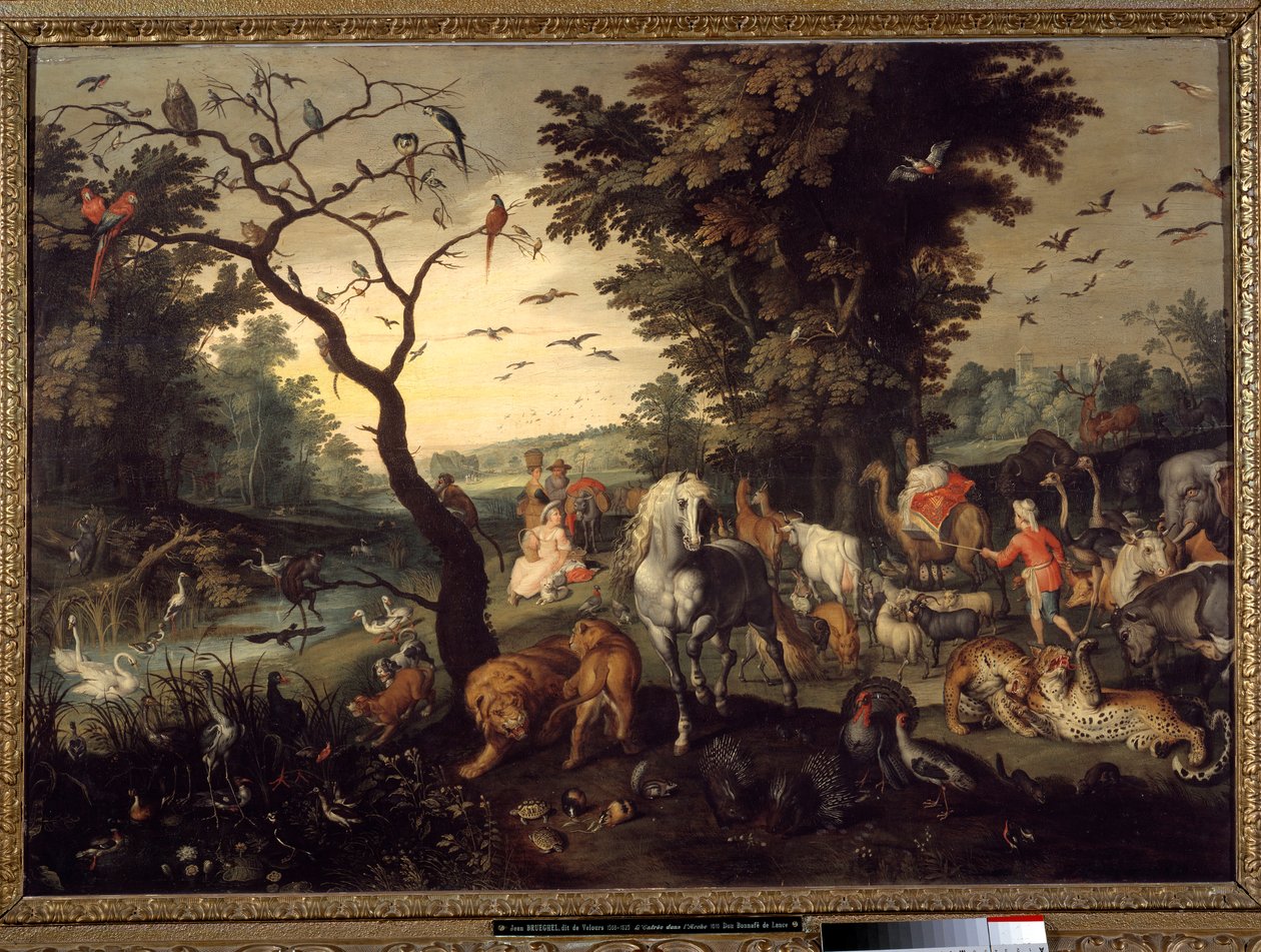 المدخل إلى Ark Animals أدخل سفينة Noe قبل الطوفان. اللوحة التي رسمها Jan Breugel الأكبر تستدعي Bruegel de Velours بواسطة جان الأكبر بروغل