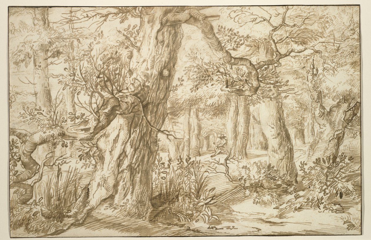 تصميم داخلي للغابات مع رسام ، c.1664 (حبر بني على ورق قديم) بواسطة جان الأكبر ليفينز