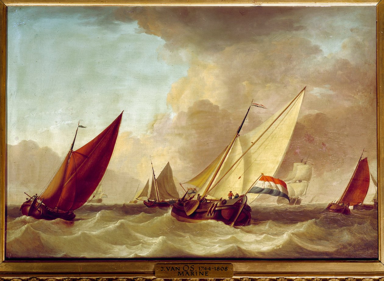 رسم بحري لجان فان أوس (1744-1808) شمس القرن الثامن عشر. 0.52 × 0.73 م بواسطة جان فان أوس