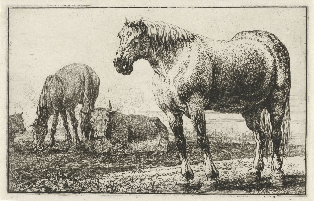 الخيول والأبقار الحيوانات (عنوان السلسلة) Zoographiam (عنوان السلسلة) بواسطة جان فان دن هيكي