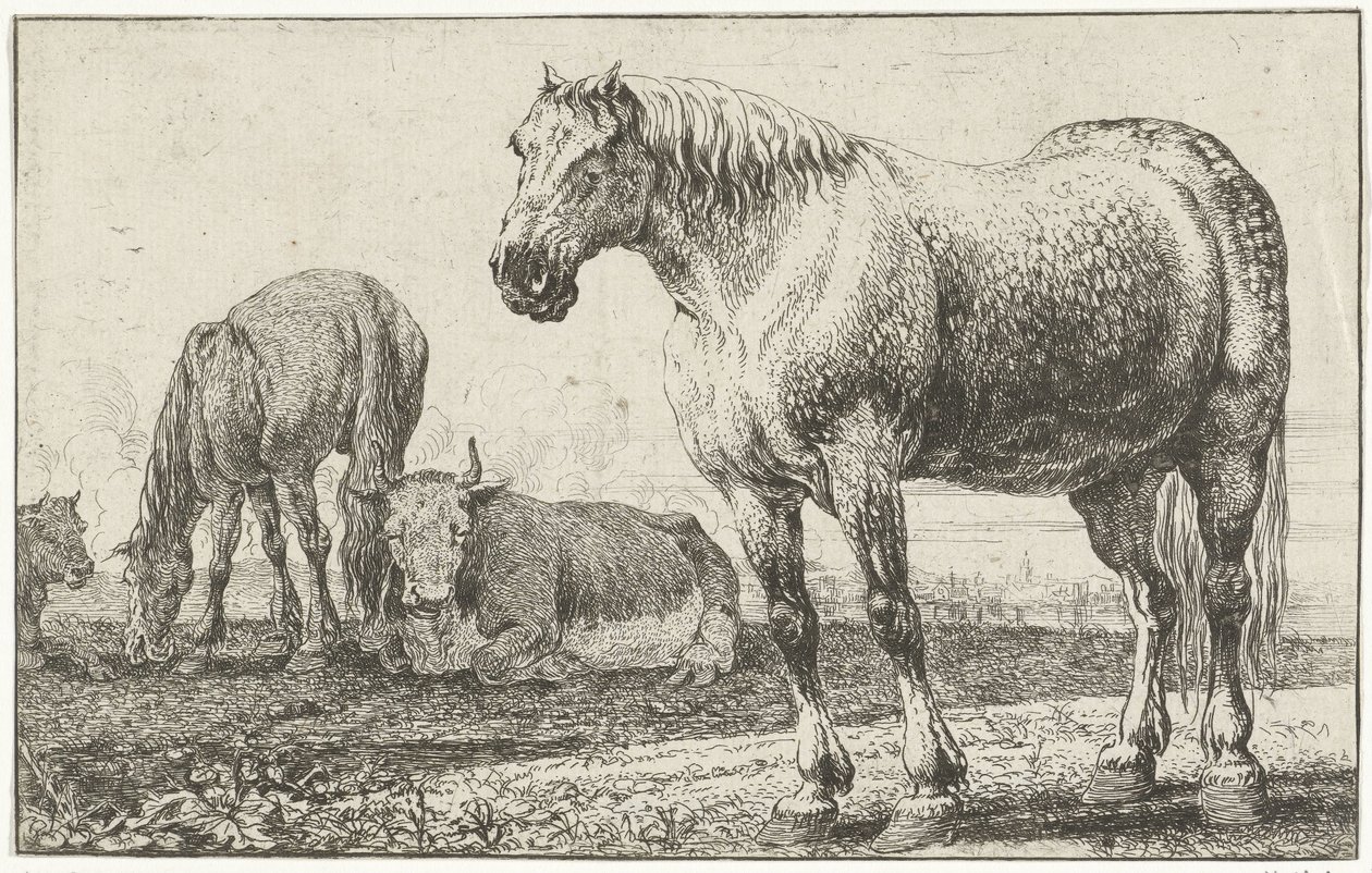الخيول والأبقار الحيوانات (عنوان السلسلة) Zoographiam (عنوان السلسلة) بواسطة جان فان دن هيكي
