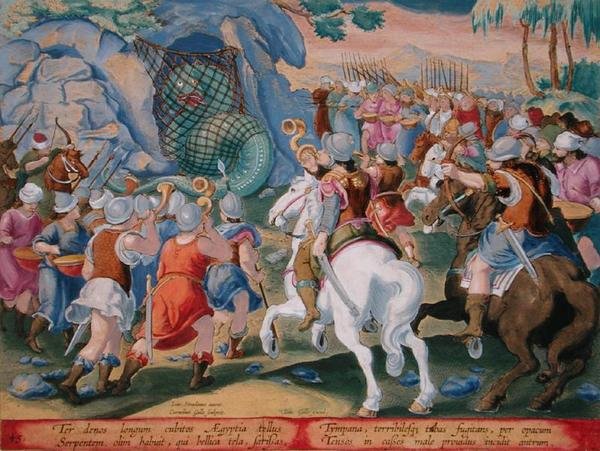 اصطياد ثعبان مصر في شبكة ، اللوحة 45 من "Venationes Ferarum ، Avium ، Piscium" (للصيد: الحيوانات البرية والطيور والأسماك) نقشها جان كوليرت (1566-1628) نشره فيليبس جاليوس من أمستردام (نقش ملون يدويًا ) بواسطة جان فان دير سترايت