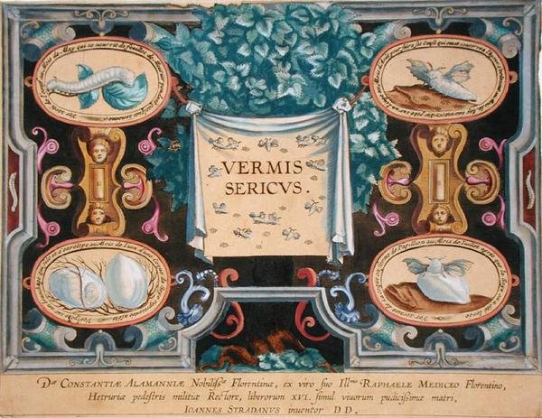 واجهة كتابية لـ "Vermis Sericus" (دودة القز) نقشها ثيودور جالي (1571-1633) (نقش) بواسطة جان فان دير سترايت