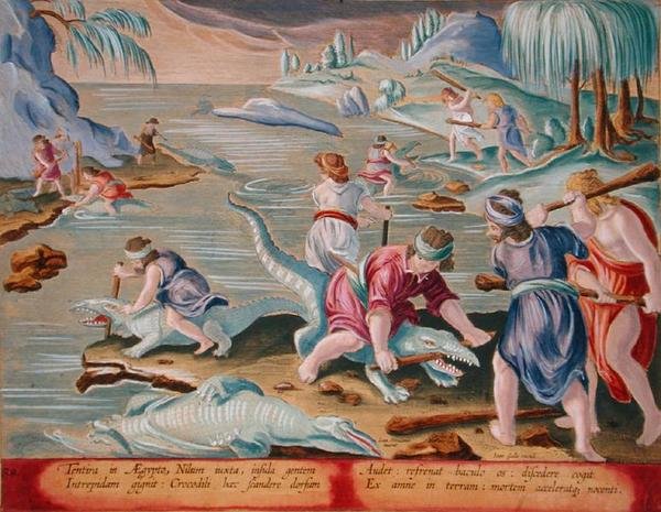 قتل التماسيح باستخدام العصي والعصي ، اللوحة رقم 88 من "Venationes Ferarum ، Avium ، Piscium" (للصيد: الحيوانات البرية والطيور والأسماك) نقشها جان كوليرت (1566-1628) التي نشرها فيليبس جاليوس من أمستردام (نقش ملون يدويًا) بواسطة جان فان دير (1523 1605) (بعد) Straet