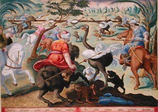 المور على ظهور الخيل يصطاد النعام ، اللوحة 62 من "Venationes Ferarum ، Avium ، Piscium" (للصيد: الحيوانات البرية والطيور والأسماك) نقش بواسطة Jan Collaert (1566-1628) نشره Phillipus Gallaeus of Amsterdam (نقش ملون يدويًا) بواسطة جان فان دير سترايت