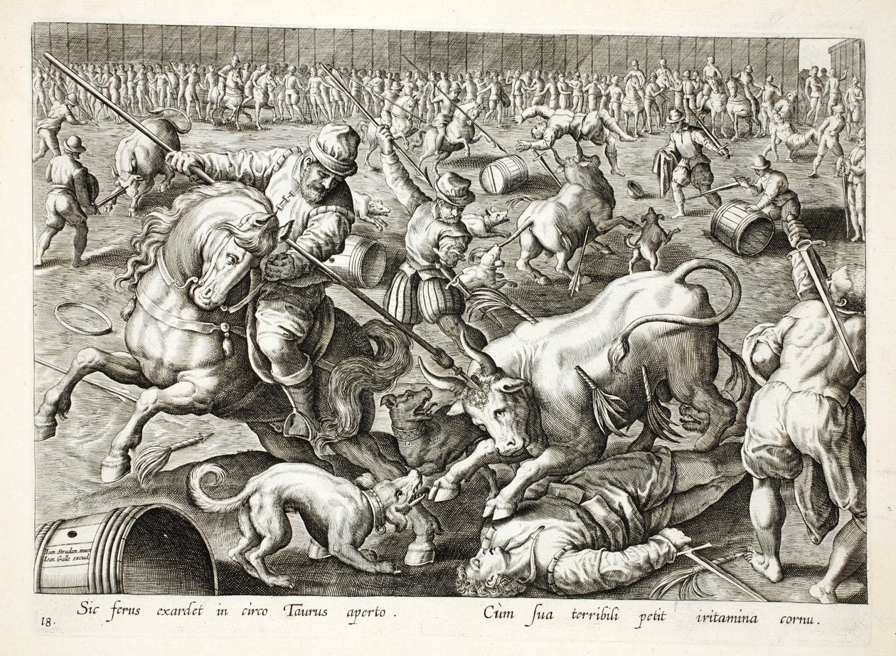 مصارعة مصارعة جماعية في حاوية ، توضيح من `` Venationes ، Ferarum ، Avium ، Piscium &39;&39; (للصيد: وحوش برية ، طيور ، أسماك) ، نقش بواسطة Jan Collaert (1566-1628) ، حانة. فيليب جاليوس ، أمست بواسطة جان فان دير سترايت