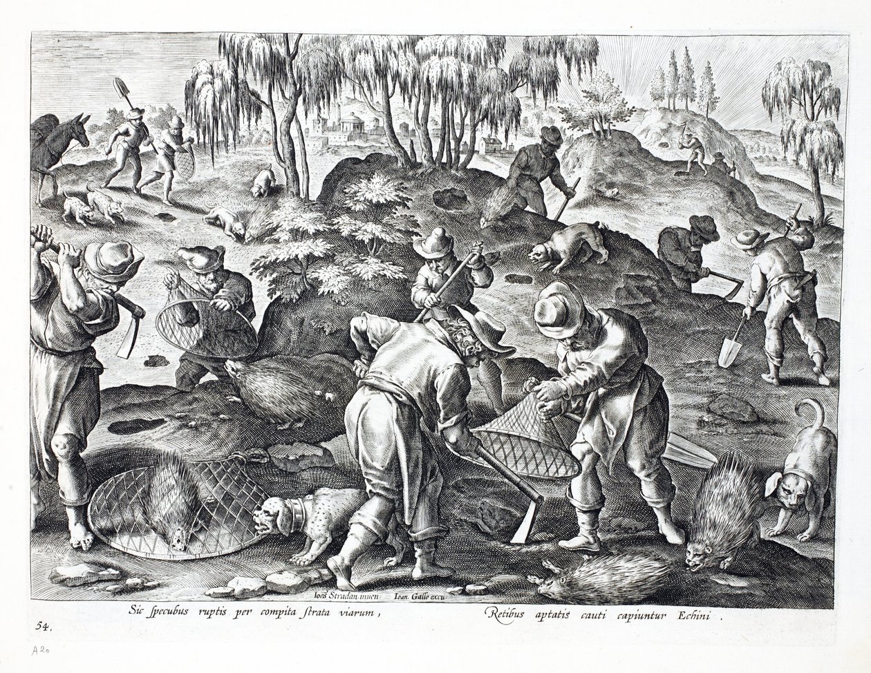 حفر الخنازير والتقاطها ، اللوحة 54 ، رسم توضيحي من "Venationes ، Ferarum ، Avium ، Piscium" (للصيد: وحوش برية ، طيور ، أسماك) ، نقش بواسطة Jan Collaert (1566-1628) ، حانة. بواسطة فيليبس بواسطة جان فان دير سترايت