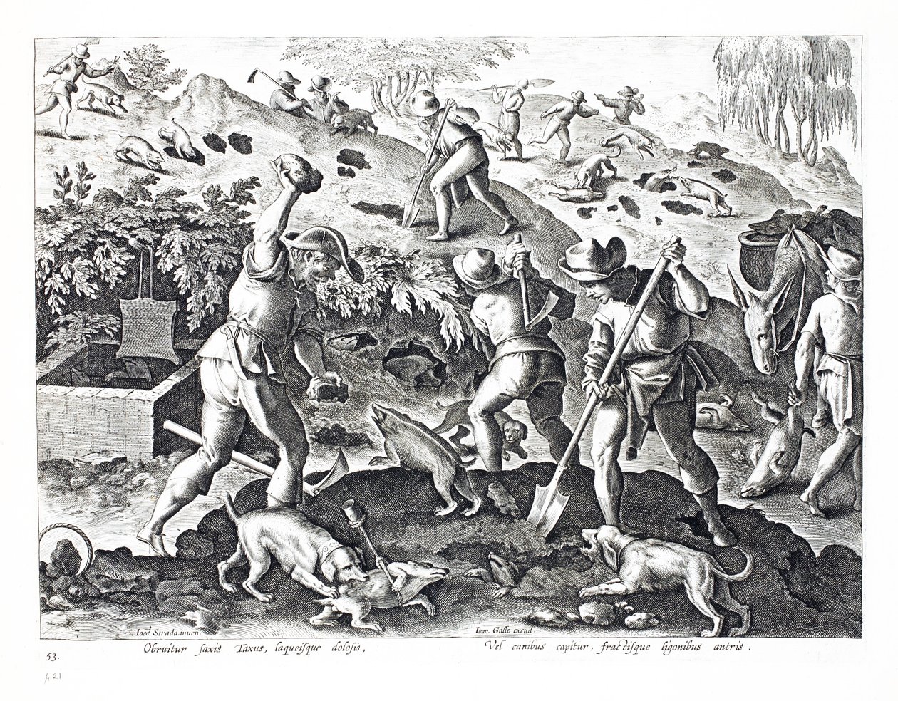 حفر والتقاط البادجر ، رسم توضيحي من "Venationes ، Ferarum ، Avium ، Piscium" (للصيد: وحوش برية ، طيور ، سمك) ، نقش بواسطة Jan Collaert (1566-1628) ، حانة. بواسطة فيليبس غالايوس ، Ams بواسطة جان فان دير سترايت