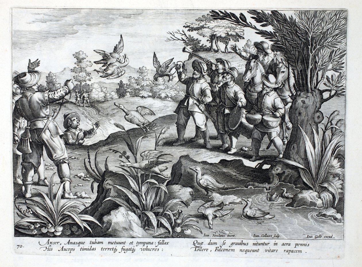 الصيادون الذين يستخدمون الصقور لمطاردة الأوز ، رسم توضيحي من "Venationes ، Ferarum ، Avium ، Piscium" (للصيد: وحوش برية ، طيور ، أسماك) ، منقوش بواسطة Jan Collaert (1566-1628) ، حانة. بواسطة فيليبوس غالايوس ، أ بواسطة جان فان دير سترايت