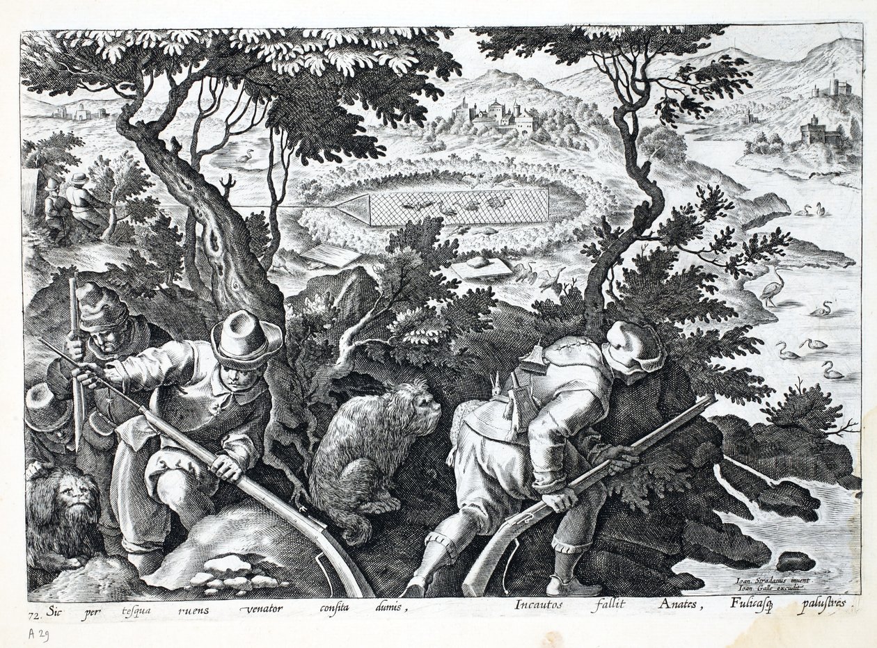 الصيد للبط ، رسم توضيحي من "Venationes ، Ferarum ، Avium ، Piscium" (للصيد: وحوش برية ، طيور ، أسماك) ، نقش بواسطة Jan Collaert (1566-1628) ، حانة. بواسطة فيليبوس غالايوس ، أمستردام (engravin بواسطة جان فان دير سترايت