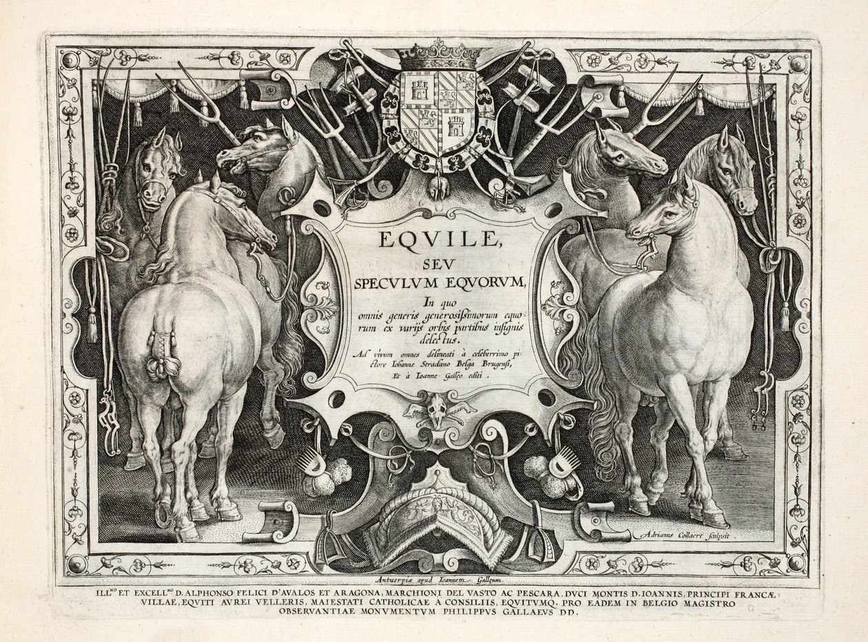 رسم توضيحي من الوحوش البرية والطيور والأسماك (للصيد الوحوش البرية والطيور والأسماك) ، منقوش بواسطة Jan Collaert (1566-1628) ، حانة. فيليب جاليوس أمستردام بواسطة جان فان دير سترايت