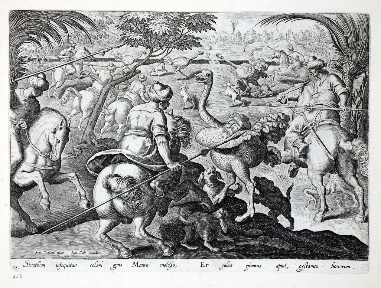 Moors on Horseback Hunting Ostriches، plate 62، Illustration from &39;Venationes، Ferarum، Avium، Piscium&39; (Of Hunting: Wild Beasts، Birds، Fish) ، منقوش بواسطة Jan Collaert (1566-1628) ، حانة. بواسطة فيليبس بواسطة جان فان دير سترايت