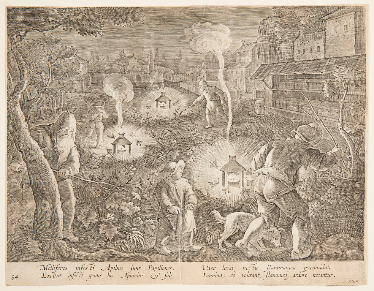 اصطياد عث الليل ، اللوحة 25 من سلسلة Hunting of Game والطيور والأسماك بواسطة جان فان دير ستريت، يُدعى سترادانوس