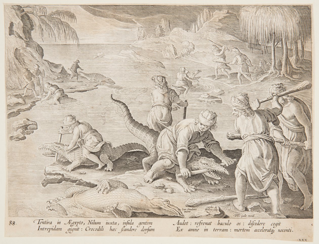 صيد التماسيح في تينتيرا ، مصر ، اللوحة 30 من سلسلة Hunts of Wild Animals والطيور والأسماك بواسطة جان فان دير ستريت، يُدعى سترادانوس