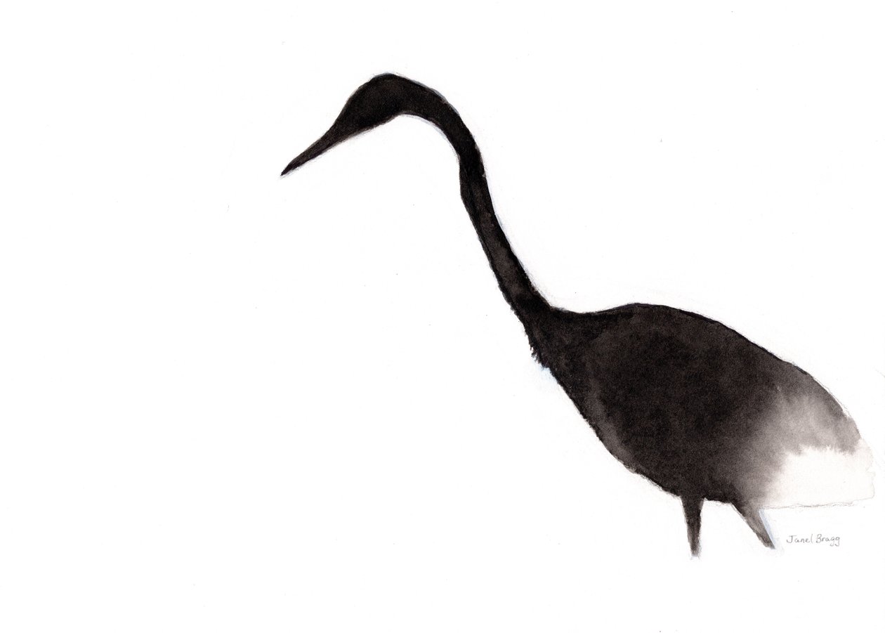 مالك الحزين بالحبر، حوالي 2020 (حبر على ورق) بواسطة جانيل براج