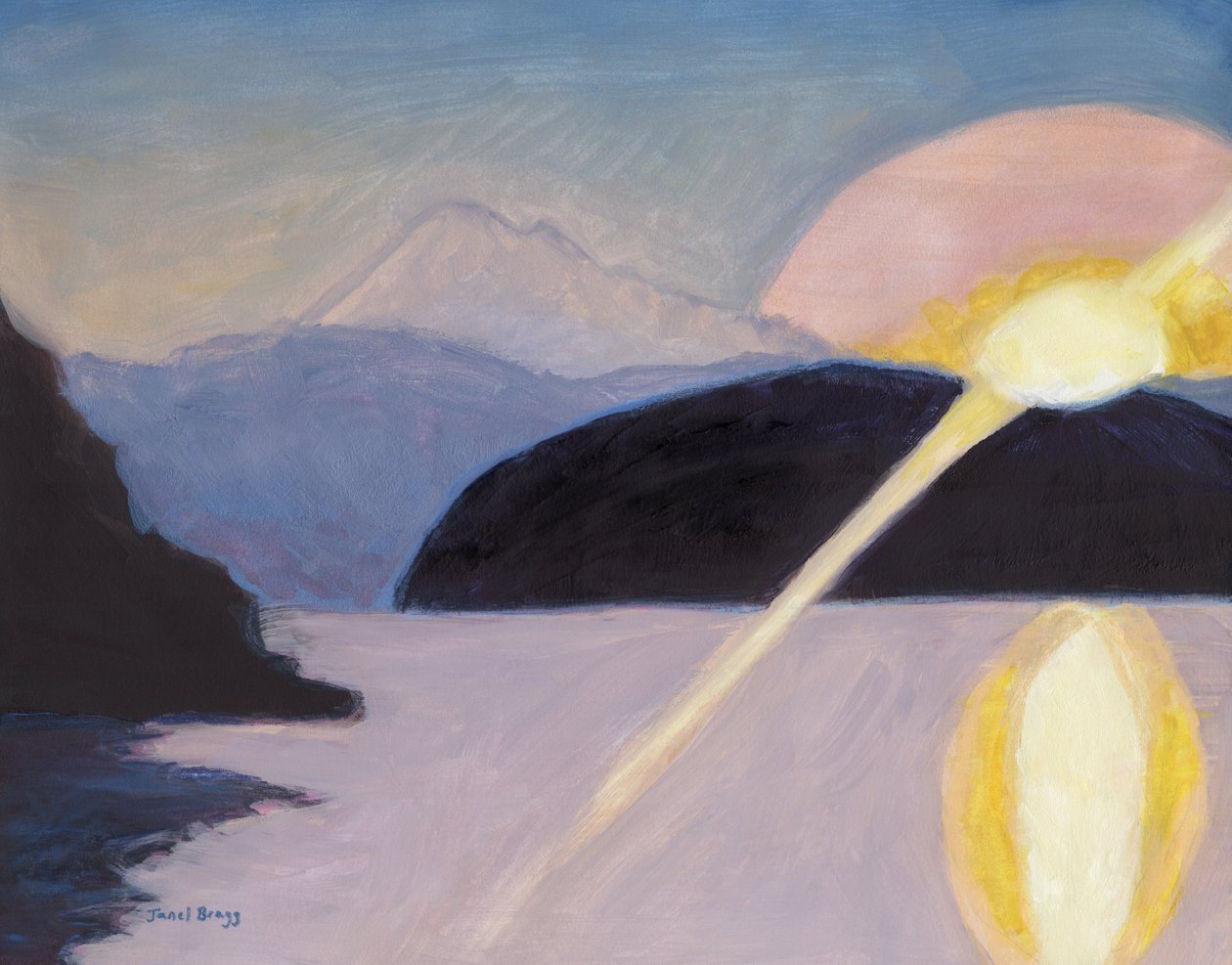  بواسطة جانيل براج