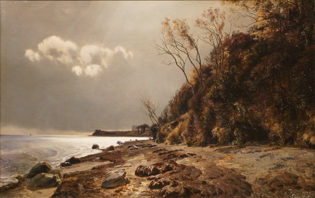 Moesgård Strand بواسطة يانوس لا كور