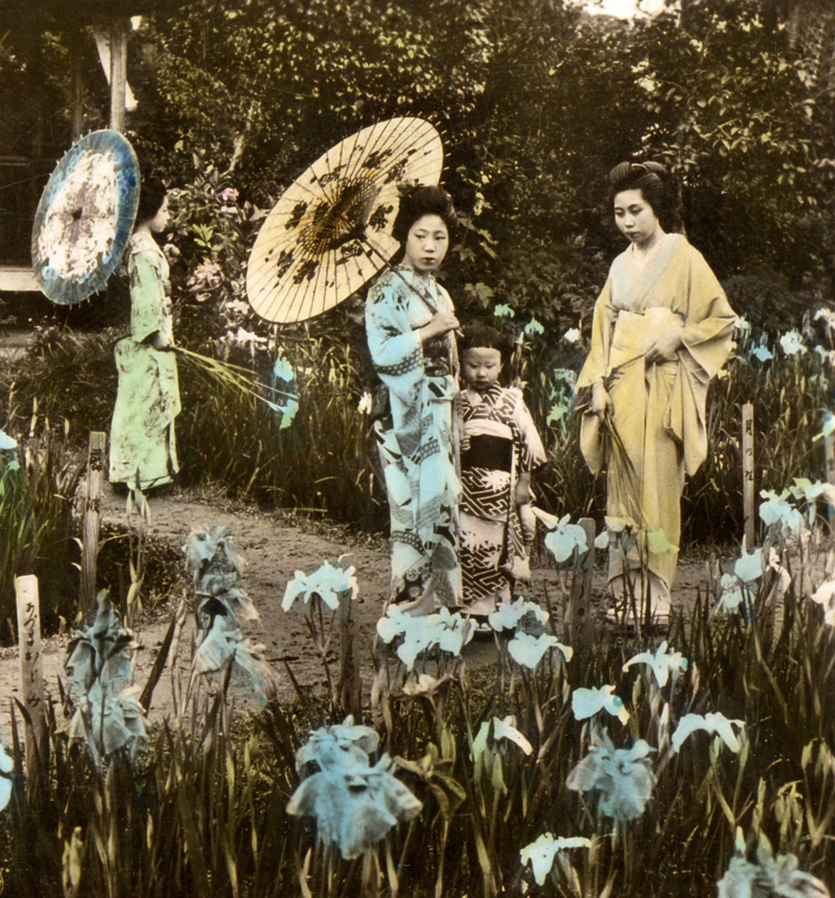 المشي في حديقة القزحية ، c.1900 (صورة زخرفية) بواسطة مصور ياباني