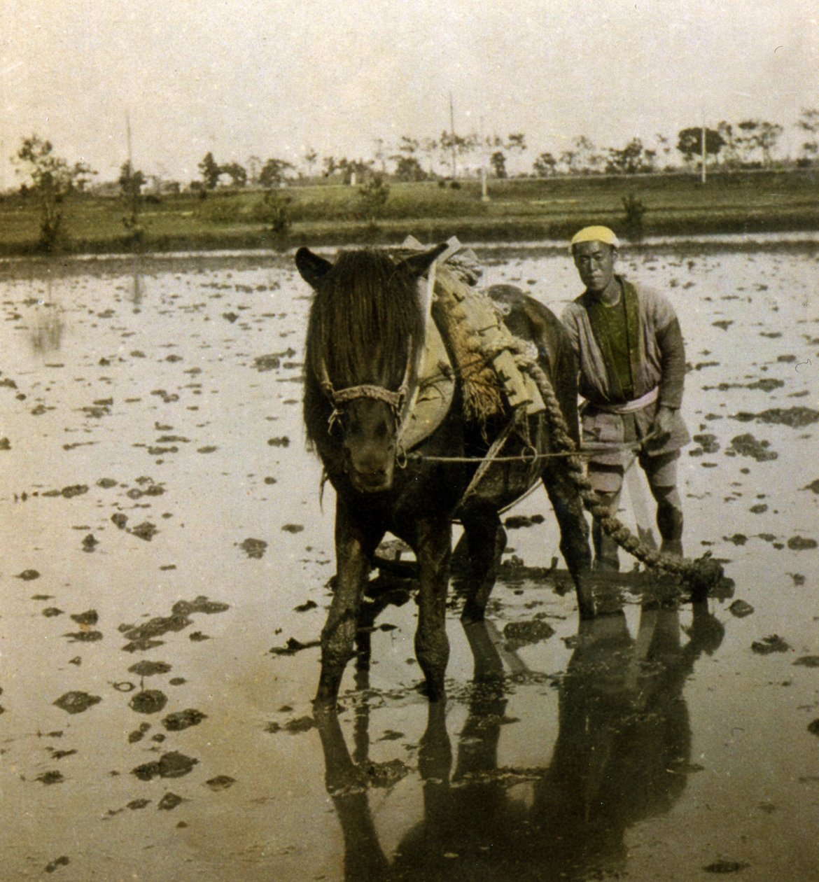 حرث حقل بادي ، c.1900 (صورة زخرفية) بواسطة مصور ياباني